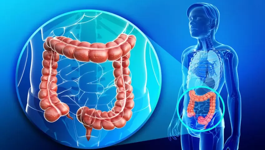 Tuberculosis Doctor in Greater Noida